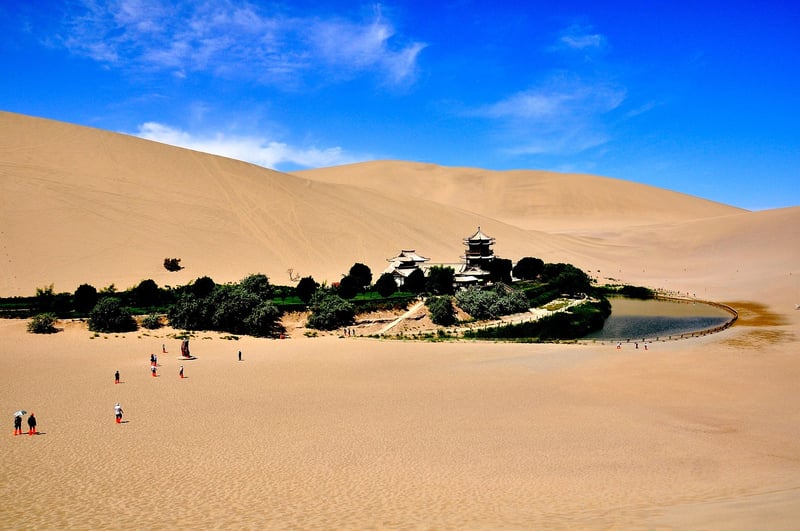 Oasis in the desert
